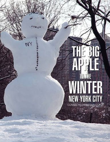 Cover image for Big Apple In The Winter