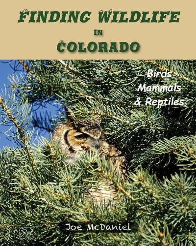 Cover image for Finding Wildlife In Colorado: Birds, Mammals and Reptiles