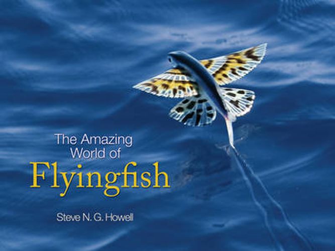 Cover image for The Amazing World of Flyingfish