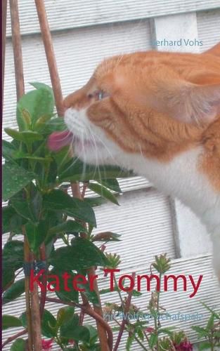 Cover image for Kater Tommy: Ein Wolf im Schafspelz