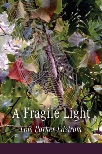 Cover image for A Fragile Light