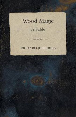 Cover image for Wood Magic - A Fable