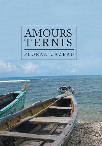 Cover image for Amours Ternis