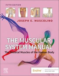 Cover image for The Muscular System Manual: The Skeletal Muscles of the Human Body