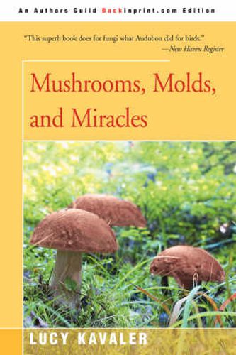 Cover image for Mushrooms, Molds, and Miracles