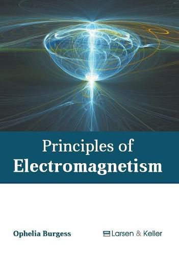 Cover image for Principles of Electromagnetism