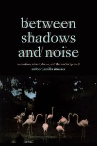 Cover image for Between Shadows and Noise