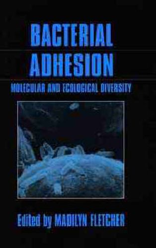 Cover image for Bacterial Adhesion: Molecular and Ecological Diversity