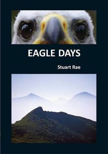 Cover image for Eagle Days