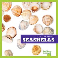 Cover image for Seashells