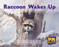 Cover image for Raccoon Wakes up