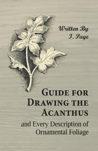 Cover image for Guide for Drawing the Acanthus, and Every Description of Ornamental Foliage