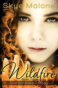 Cover image for Wildfire