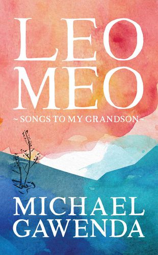 Cover image for Leo Meo