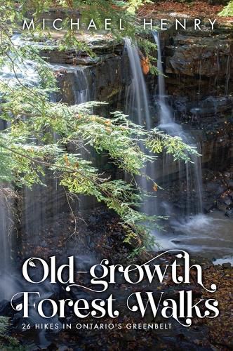 Cover image for Old-Growth Forest Walks