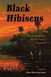 Cover image for Black Hibiscus