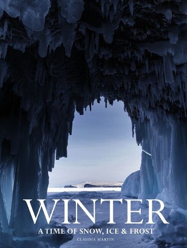Cover image for Winter
