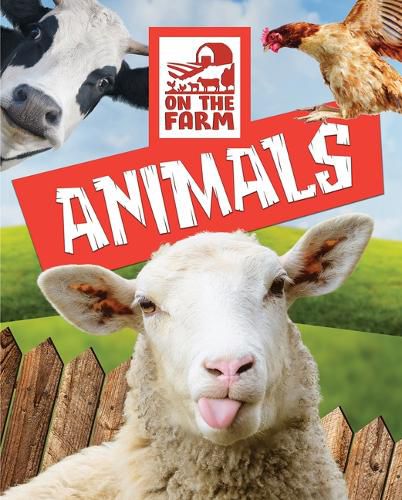 Cover image for Animals
