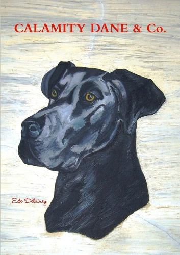 Cover image for Calamity Dane & Co.