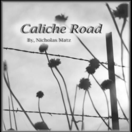 Cover image for Caliche Road