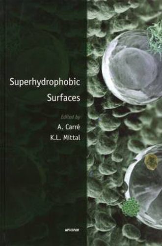 Cover image for Superhydrophobic Surfaces