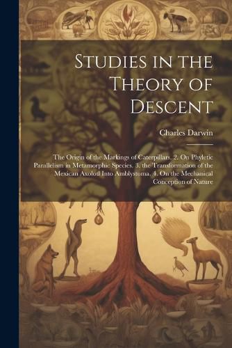 Cover image for Studies in the Theory of Descent