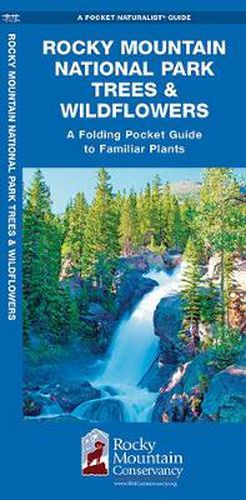 Cover image for Rocky Mountain National Park Trees & Wildflowers: A Folding Pocket Guide to Familiar Plants