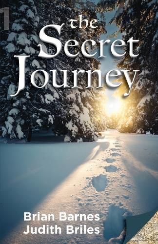 Cover image for The Secret Journey