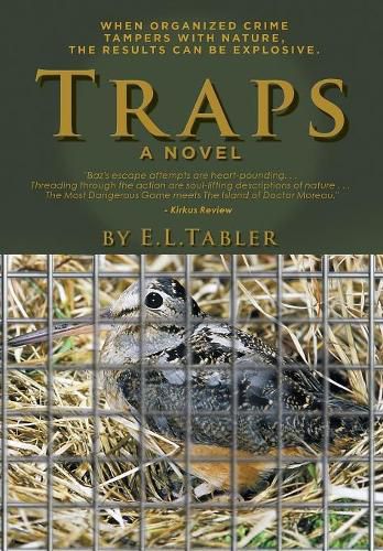 Cover image for Traps