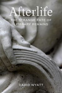 Cover image for Afterlife