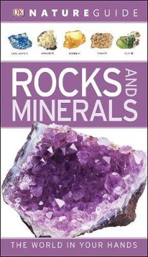 Nature Guide Rocks and Minerals: The World in Your Hands