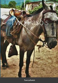 Cover image for Two Paso's