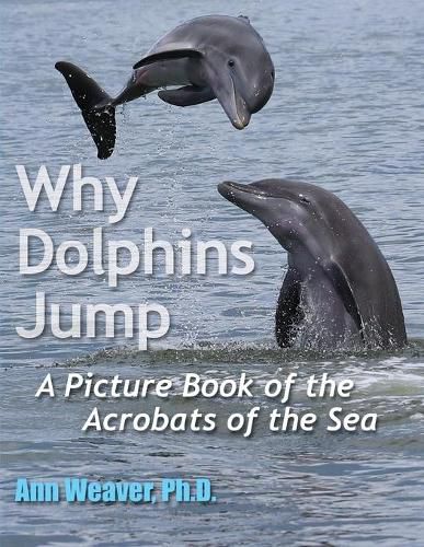 Cover image for Why Dolphins Jump: A Picture Book of the Acrobats of the Sea