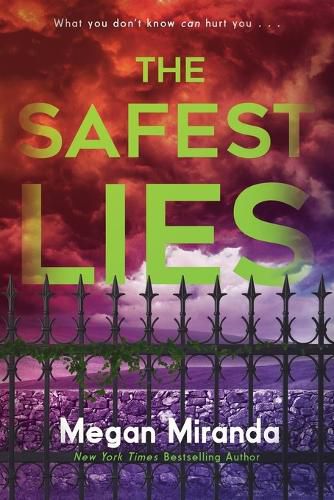 Cover image for The Safest Lies