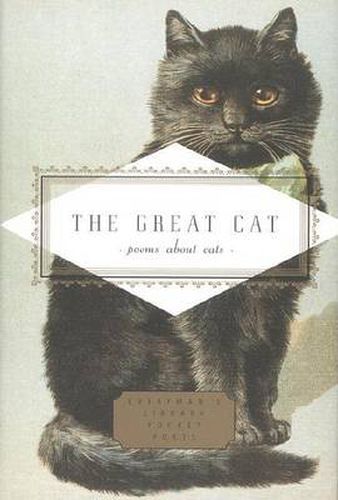 Cover image for The Great Cat: Poems About Cats