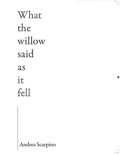 Cover image for What the Willow Said as It Fell