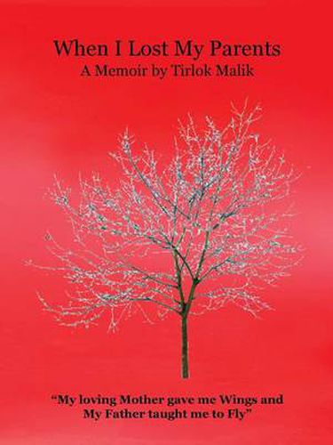 Cover image for When I Lost My Parents