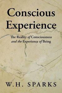 Cover image for Conscious Experience