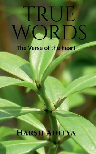 Cover image for True Words