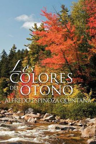 Cover image for Los Colores del Oto O