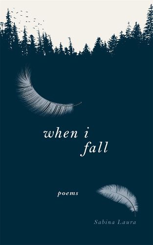 Cover image for When I Fall