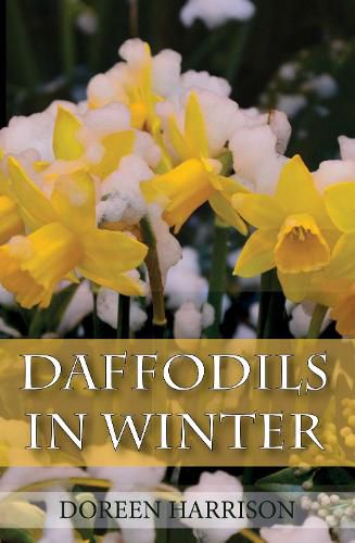 Cover image for Daffodils in Winter