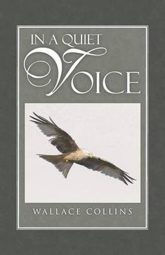 Cover image for In a Quiet Voice