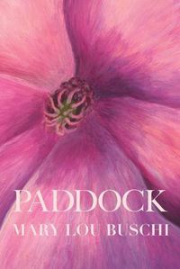 Cover image for Paddock