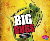 Cover image for Big Bugs (Big)