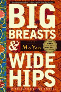 Cover image for Big Breasts and Wide Hips