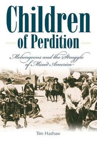 Cover image for Children Of Perdition:  Melungeons And The Struggle Of Mixed America (P340/Mrc)