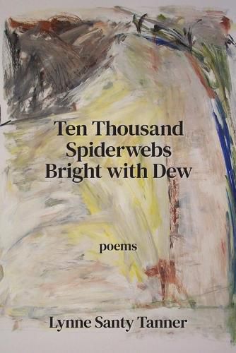 Cover image for Ten Thousand Spiderwebs Bright with Dew