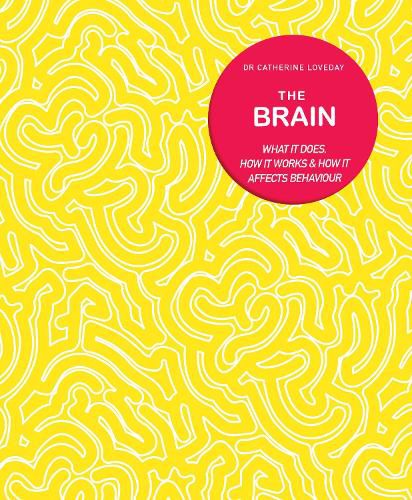 The Brain: What It Does, How It Works and How It Affects Behaviour