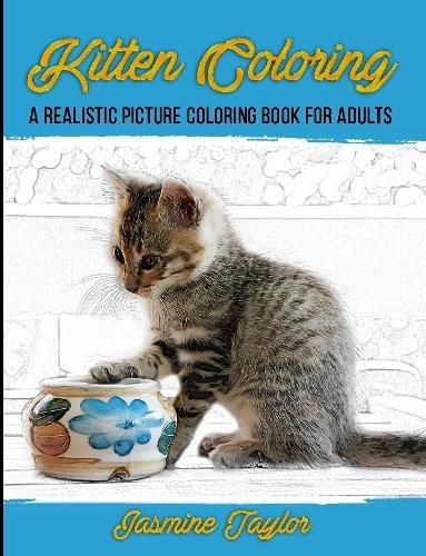 Cover image for Kitten Coloring